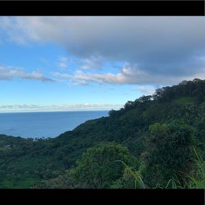 Meet your Posher, Carissa